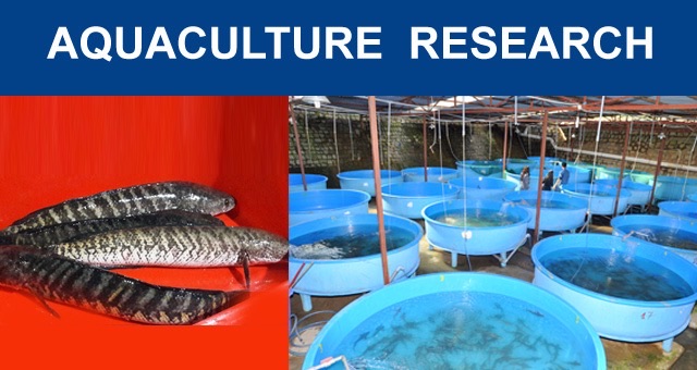 Aquaculture Image
