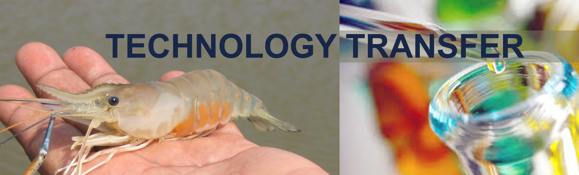 Aquaculture Technology Transfer
