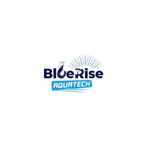 BlueRise Logo